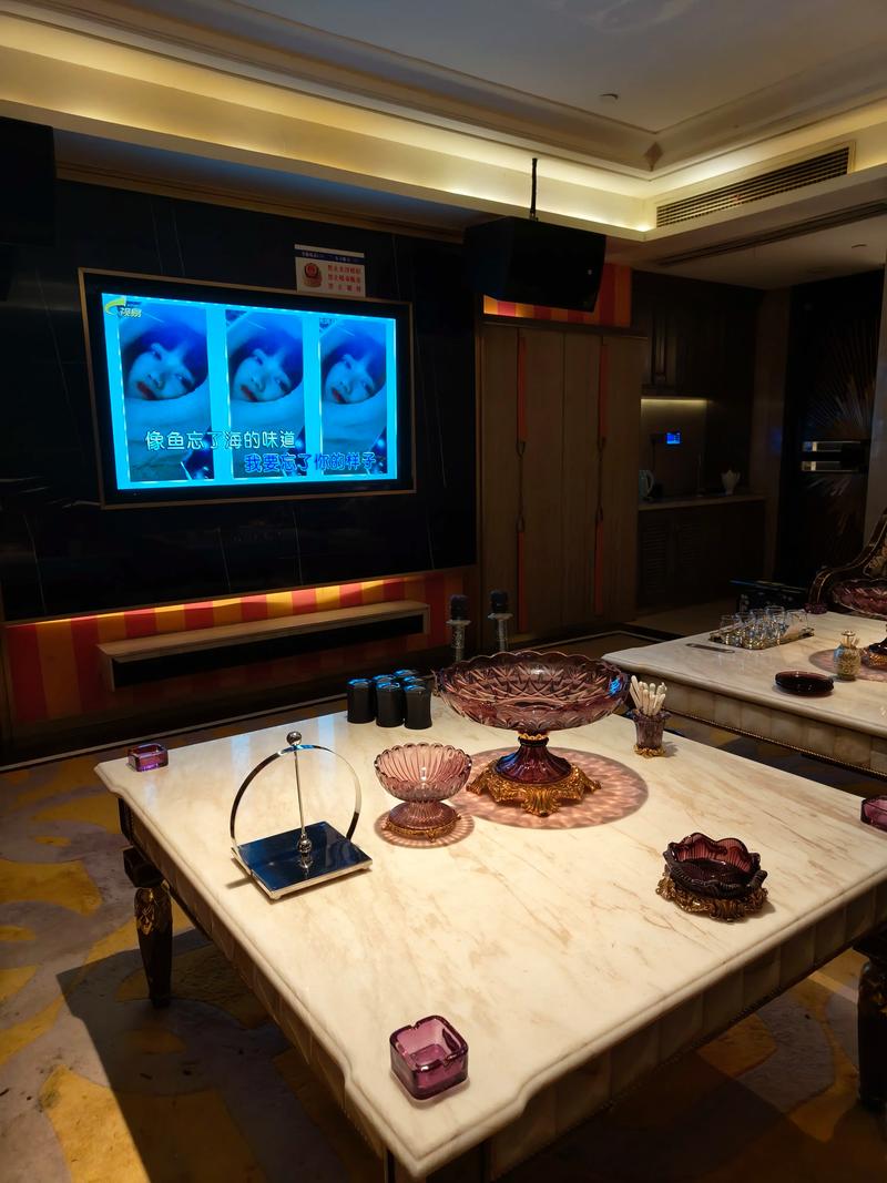 聊城商务ktv，组局可行-阳谷县ktv预定